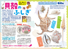 Load image into Gallery viewer, Children's Science June 2025 issue with separate attachment