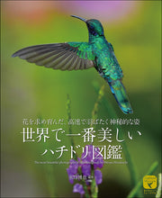 Load image into Gallery viewer, The world's most beautiful hummingbirds