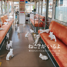 Load image into Gallery viewer, ねこ?がいるよ