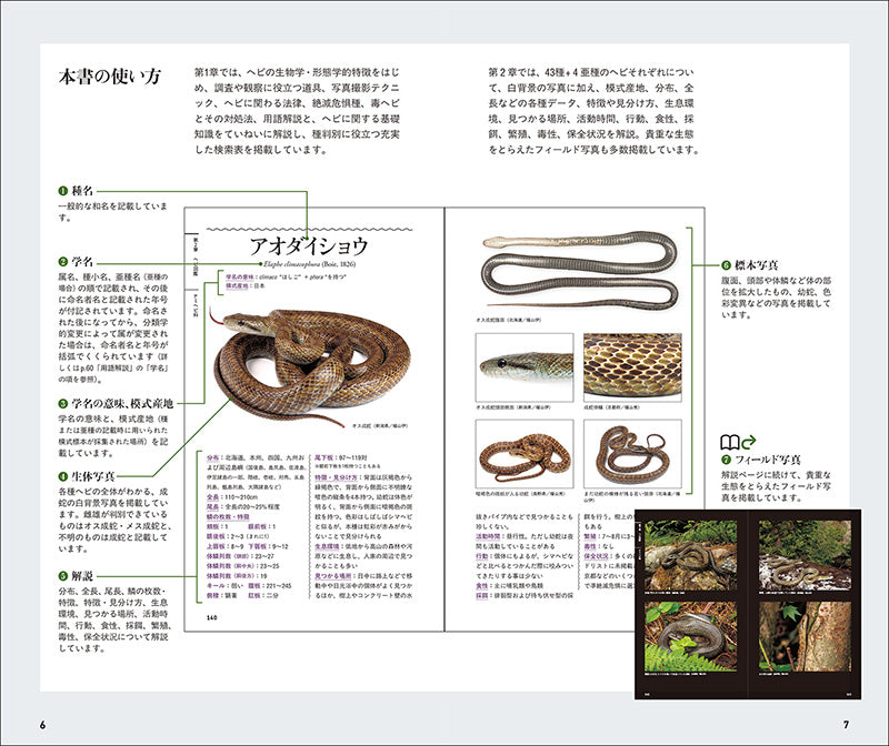 毒ヘビ全書 毒ヘビ全書