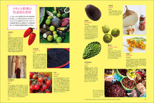 Load image into Gallery viewer, Mexican Cuisine Encyclopedia 2nd Edition