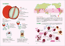 Load image into Gallery viewer, Coffee Dictionary 2nd Edition