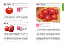 画像をギャラリービューアに読み込む, トマト・ミニトマトの栽培技術