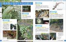Load image into Gallery viewer, Compare Reptile Encyclopedia