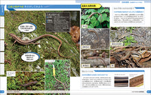 Load image into Gallery viewer, Compare Reptile Encyclopedia