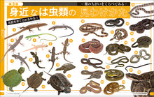 Load image into Gallery viewer, Compare Reptile Encyclopedia