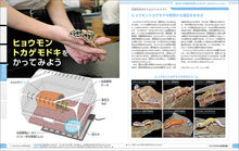 Load image into Gallery viewer, Compare Reptile Encyclopedia