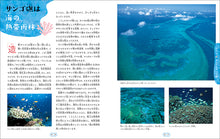 Load image into Gallery viewer, サンゴの海と生き物たち