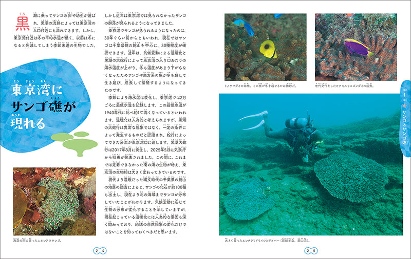 サンゴの海と生き物たち – 誠文堂の直売所