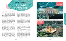 Load image into Gallery viewer, サンゴの海と生き物たち