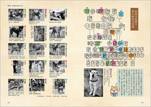 Load image into Gallery viewer, 秋田犬の資料集
