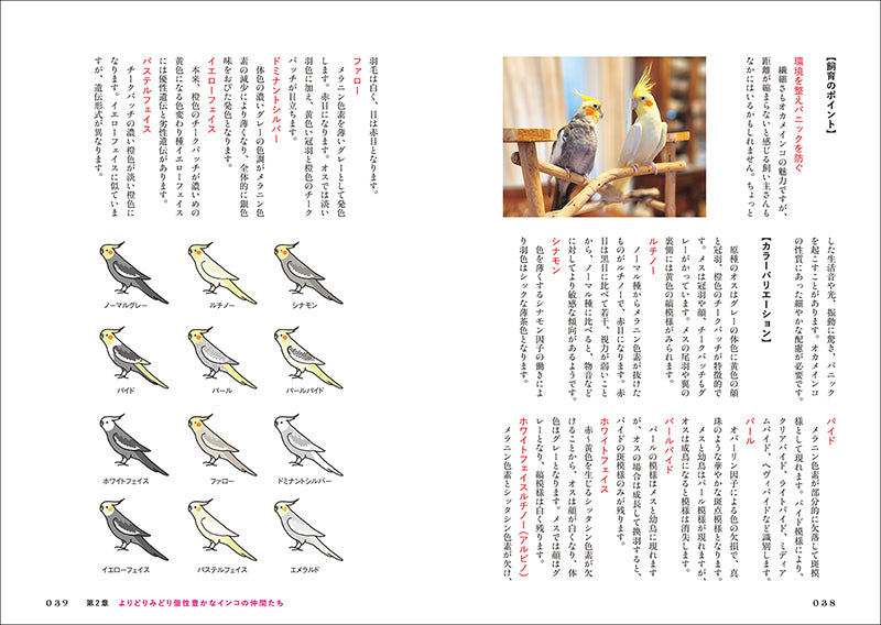 インコがほんとうの家族になる – 誠文堂の直売所