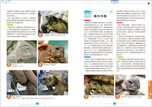 Load image into Gallery viewer, Turtle Health and Disease