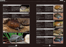 Load image into Gallery viewer, Turtle Health and Disease