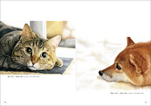 Load image into Gallery viewer, Kokomaru's Real Colored Pencil Class
