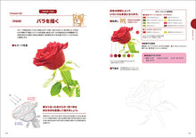 Load image into Gallery viewer, Kokomaru's Real Colored Pencil Class
