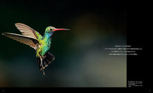 Load image into Gallery viewer, The world's most beautiful hummingbirds