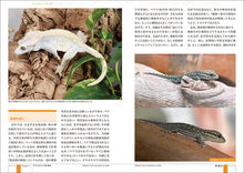 Load image into Gallery viewer, Complete gecko rearing
