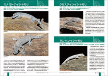 Load image into Gallery viewer, Complete gecko rearing