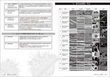 Load image into Gallery viewer, A guide to Japanese kitoceros