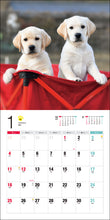 Load image into Gallery viewer, 2026 Calendar Labrador Retriever
