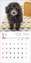 Load image into Gallery viewer, 2026 Calendar Toy Poodle
