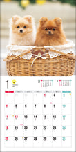 Load image into Gallery viewer, 2026 Calendar Pomeranian
