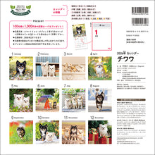 Load image into Gallery viewer, 2026 Calendar Chihuahua