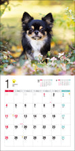 Load image into Gallery viewer, 2026 Calendar Chihuahua
