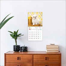 Load image into Gallery viewer, 2026 Calendar Maltese