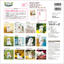 Load image into Gallery viewer, 2026 Calendar Maltese