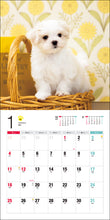 Load image into Gallery viewer, 2026 Calendar Maltese