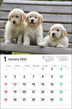 Load image into Gallery viewer, 2026 Calendar Wide Format Golden Retriever