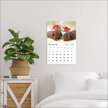 Load image into Gallery viewer, 2026 Calendar Wide Format Miniature Dachshund