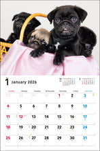 Load image into Gallery viewer, 2026 Calendar Wide Format Pug