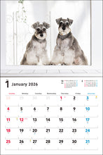 Load image into Gallery viewer, 2026 Calendar Wide Format Miniature Schnauzer