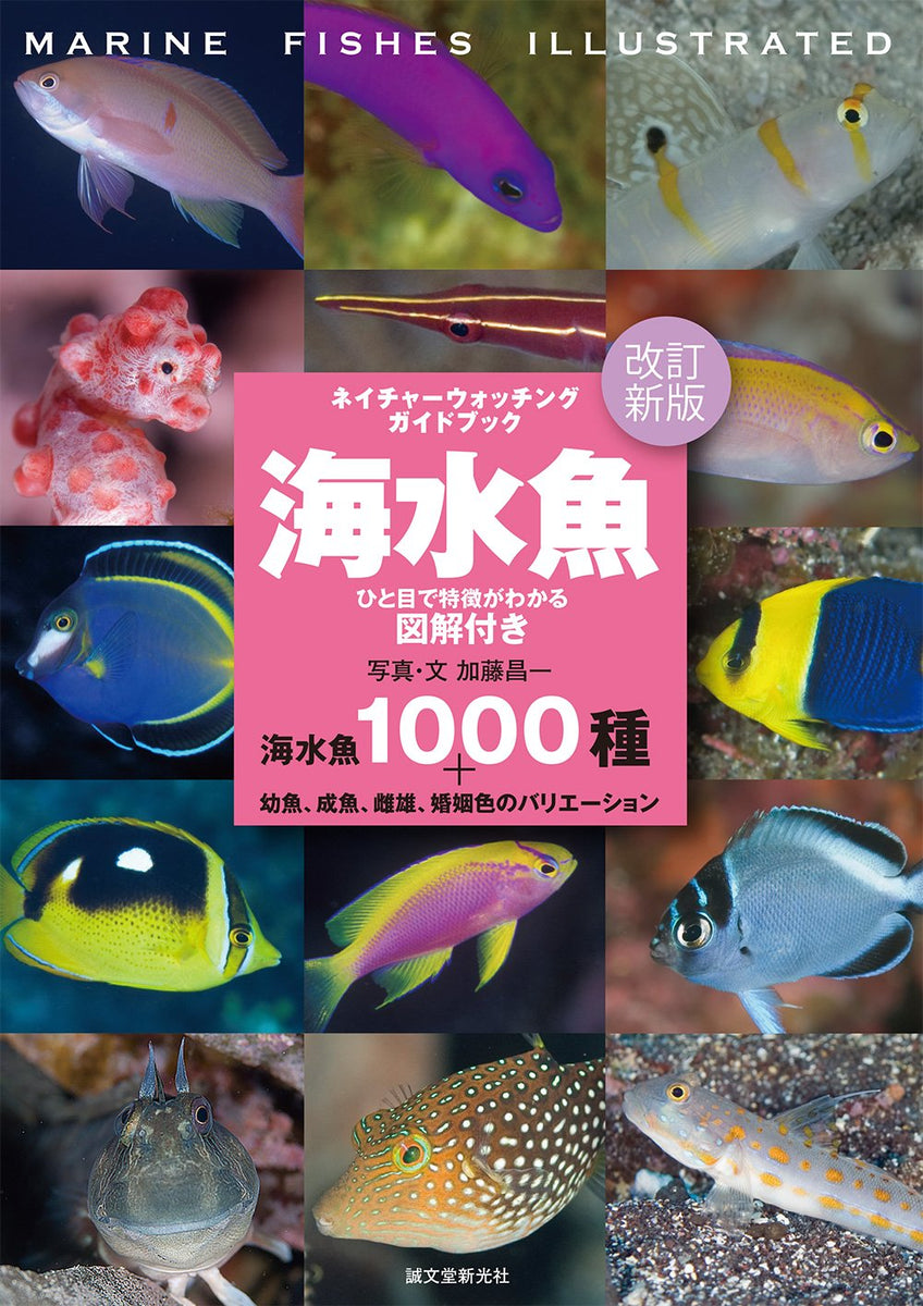 改訂新版 海水魚 ひと目で特徴がわかる図解付き – 誠文堂の直売所