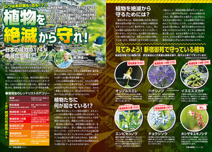 子供の科学　２０２５年７月号