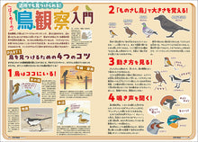 Load image into Gallery viewer, 子供の科学　２０２６年１０月号
