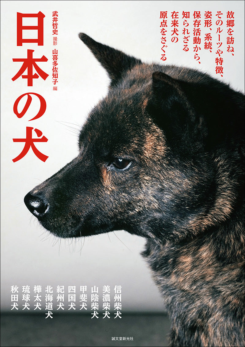 Japanese Dog