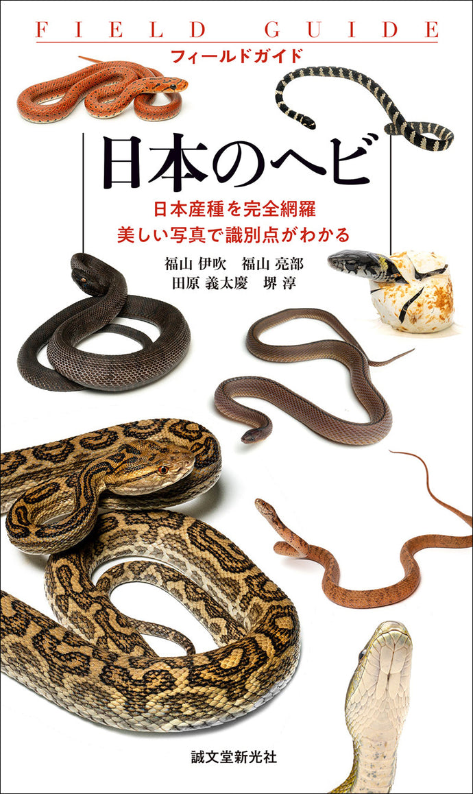 Japanese Snakes