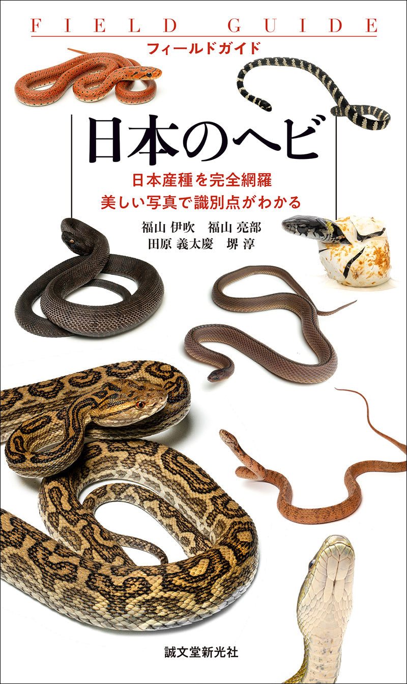 日本のヘビ – 誠文堂の直売所