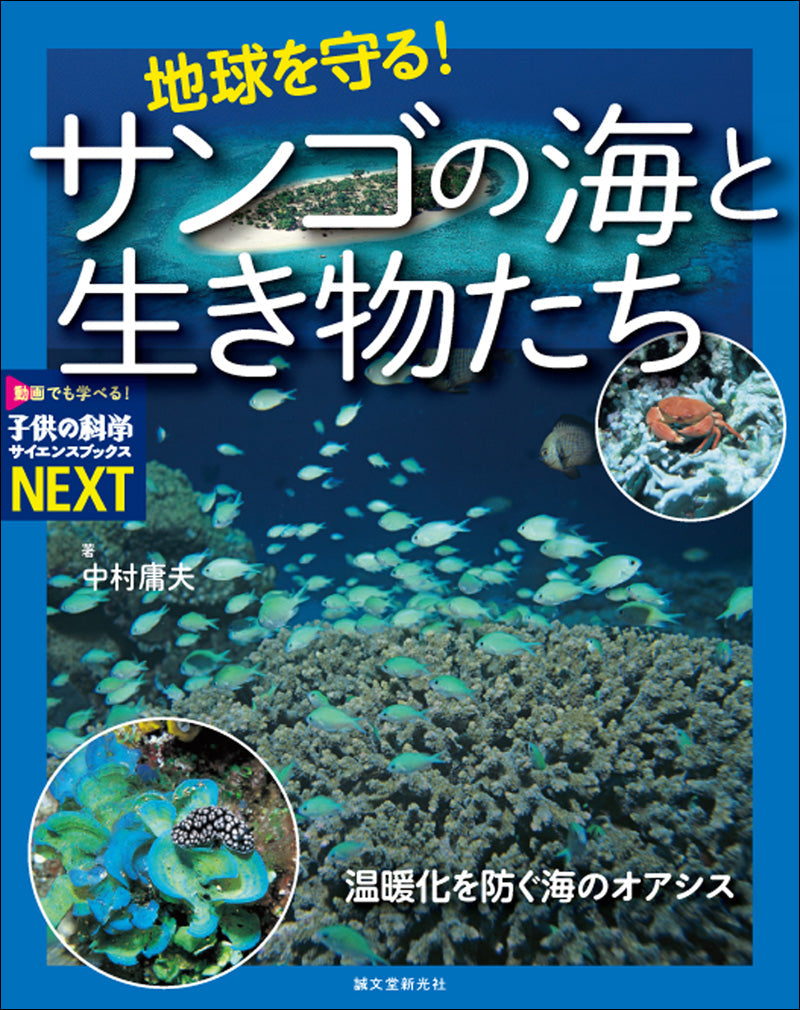 【専用】TOKUKO 1er VOL　トクコ　チュニック　珊瑚　貝　海の生き物 サンゴの海と生き物たち – 誠文堂の直売所