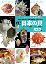 Load image into Gallery viewer, 新版 日本の貝
