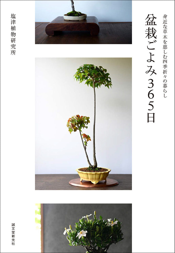 盆栽ごよみ365日