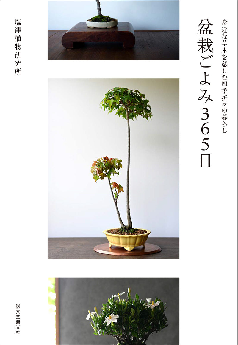 お盆休みセール‼️はっぴいえんど 完全生産限定アナログ盤 お盆休みセール‼️はっぴいえんど 完全生産限定アナログ盤