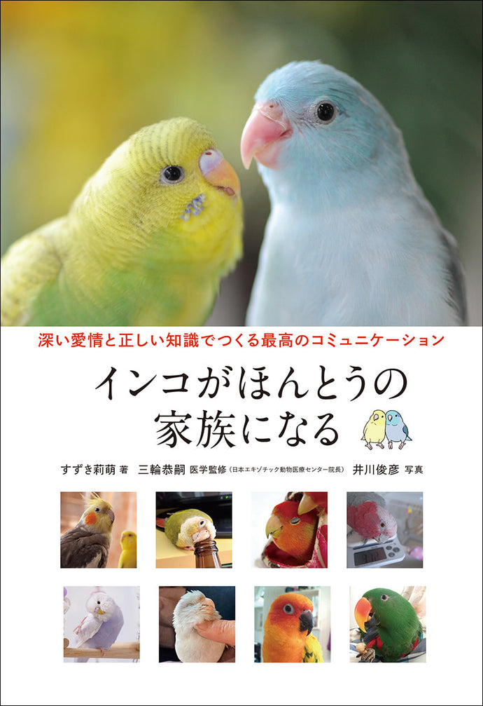A parakeet becomes a real family member