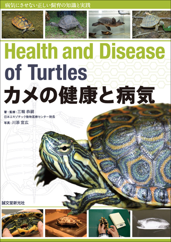 Turtle Health and Disease