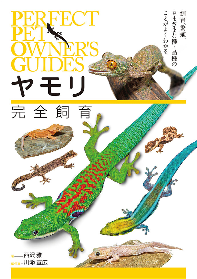 Complete gecko rearing