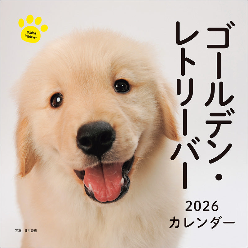 2026年カレンダー ゴールデン・レトリーバー
